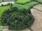 Photo 12 of Lands At, Lisgobban Road, Benburb, Dungannon