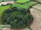 Photo 2 of Lands At, Lisgobban Road, Benburb, Dungannon