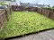 Photo 11 of 38 Beechgrove, Old Mountfield Road, Omagh