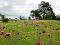 Photo 53 of 14a Ballydrain Road, Comber, Newtownards