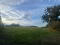 Photo 8 of Circa 89 Acres Of Land At, Ballyhornan Road, Downpatrick