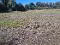 Photo 7 of Nutfield Road, Henrystughan, Lisnaskea