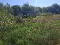 Photo 15 of Nutfield Road, Henrystughan, Lisnaskea