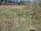 Photo 17 of Nutfield Road, Henrystughan, Lisnaskea
