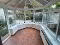 Photo 6 of 25 Princess Avenue, Cookstown
