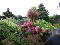 Photo 26 of 9 Dunmore Crescent, Cookstown