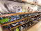 Photo 16 of Tempo Variety Store, 98-100 Main Street, Tempo