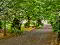 Photo 48 of 22 Luney Road, Magherafelt