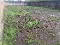 Photo 10 of Sheeny, Newtownbutler