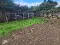 Photo 11 of Sheeny, Newtownbutler