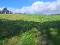 Photo 23 of Sheeny, Newtownbutler