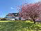 Photo 2 of 120 Castletown Road, Omagh