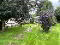 Photo 25 of 5 Ballygonny Road West, Moneymore, Magherafelt