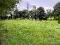 Photo 29 of 5 Ballygonny Road West, Moneymore, Magherafelt