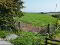Photo 17 of C. 25.3 Acres Offered In Three Lots, Moboy Road, Pomeroy