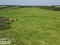 Photo 16 of C. 25.3 Acres Offered In Three Lots, Moboy Road, Pomeroy