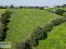 Photo 12 of C. 25.3 Acres Offered In Three Lots, Moboy Road, Pomeroy