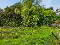 Photo 33 of 29 Ballymoghan Road, Magherafelt