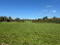Photo 9 of Circa 21 Acres, On The Teconnaught Road, Downpatrick