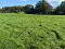 Photo 10 of Circa 21 Acres, On The Teconnaught Road, Downpatrick