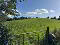 Photo 13 of Circa 21 Acres, On The Teconnaught Road, Downpatrick
