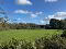Photo 14 of Circa 21 Acres, On The Teconnaught Road, Downpatrick