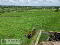 Photo 7 of C. 26 Acre Agricultural Holding, Lands At 120 Bush Road, Dungannon