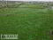 Photo 16 of C. 26 Acre Agricultural Holding, Lands At 120 Bush Road, Dungannon