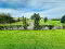 Photo 13 of 43 Darkley Road, Keady