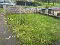 Photo 2 of 20 Winters Gardens, Omagh