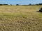 Photo 6 of Site Adjacent To, 21 Myra Road, Downpatrick