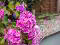 Photo 4 of Limavady Road, 9 Caw Park, Waterside, Derry/Londonderry