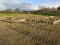 Photo 1 of Building Site At 170m East Of 86 Dunamore Road, Cookstown
