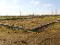 Photo 4 of Building Site At 170m East Of 86 Dunamore Road, Cookstown