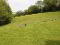Photo 16 of 106 Pomeroy Road, Cookstown