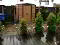 back garden