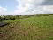 Photo 12 of 82 Mullaghboy Road, Bellaghy