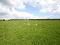 Photo 16 of 82 Mullaghboy Road, Bellaghy