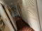 Photo 16 of Know Head, Muff