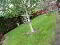 Photo 44 of 10 Levaghery Close, Portadown