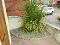 Photo 12 of 224a Bishop Street, Derry