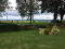 Photo 9 of Kilturbet, Threemilehouse