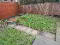 Photo 9 of Canterbury Park, Crescent Link, Derry