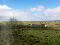 Photo 14 of 21 Cairnhill, Coleraine