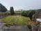 Photo 9 of 9 Rourkes Drive, Ballyhornan, Downpatrick