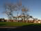 Photo 14 of 42 Murray Wood, Warringstown