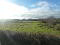 Photo 4 of Building Site, @, Mullaghboy Road, Bellaghy, Magherafelt