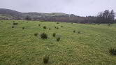 Photo 1 of Lands At Glen Road, Tempo