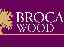 Photo 1 of Brocan Wood, Monasterevin