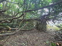 Photo 8 of Crannagh, Borris